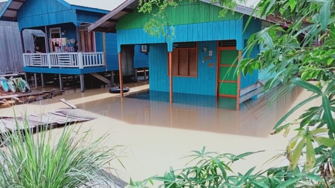 
					Risma dan Deddy Sitorus Minggu Tinjau Banjir Sembakung