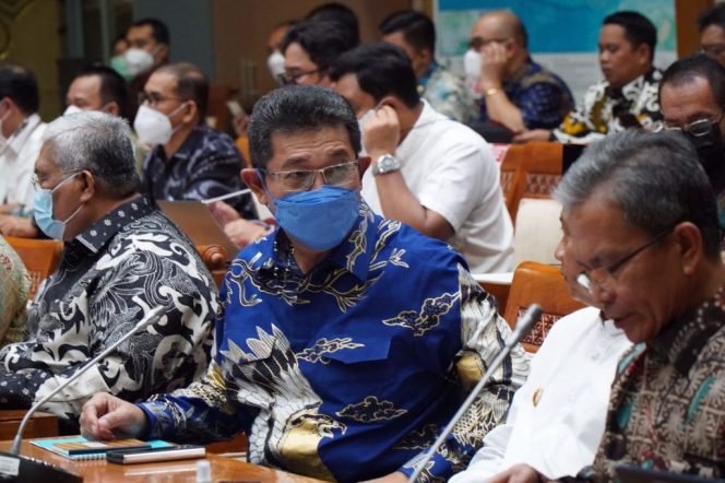 
					Bertemu Komisi VII, Wagub Kaltara Yansen Sampaikan Persoalanan Pengawasan Illegal Mining