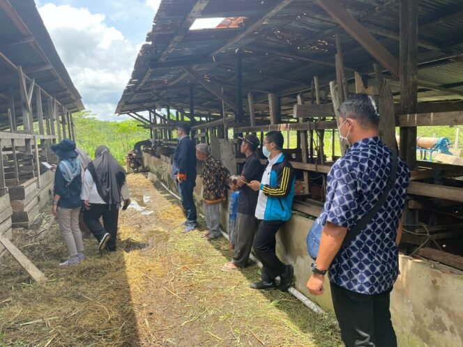 
					Tim loka penelitian sapi potong grati Pasuruan melakukan monitoring dan evaluasi sapi ke Poktan Ngudi Mulyo bertempat di Desa Kujau Kec. Betayau.