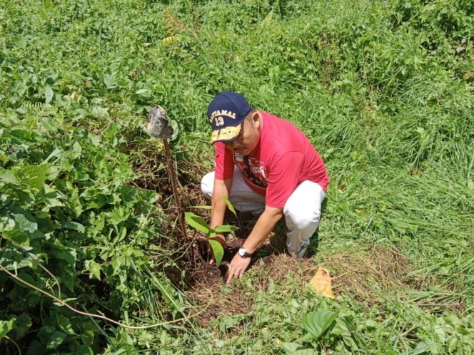 
					Ketua DPRD Provinsi Kalimantan Utara, Albertus Stevanus Marianus melakukan gerakan penanaman pohon dalam rangka memperingati Hari Lahir Pancasila bertempat di Hutan Kota Tanjungselor, Rabu (01/6)