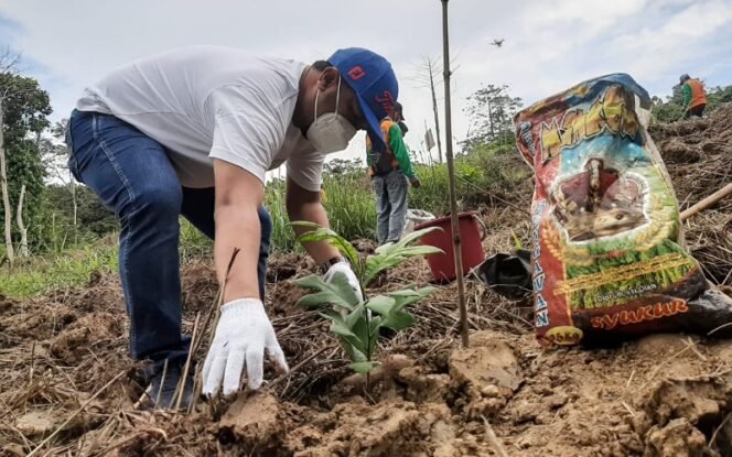 
					Komitmen Terhadap Lingkungan: Field Manager PT Pertamina EP Tarakan Field, Isrianto Kurniawan Tanam Pohon Terap di Wilayah Nunukan. Foto: Ist