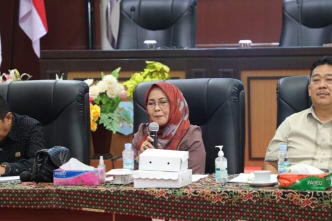 
					Anggota DPRD Provinsi Kaltara Hj. Ainun Farida. Foto : Humas Setwan.