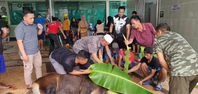 
					Masjid Nurul Ishlah Gunung Lingkas potong 10 ekor sapi dan 2 ekor kambing. Foto : Fokusborneo.com 