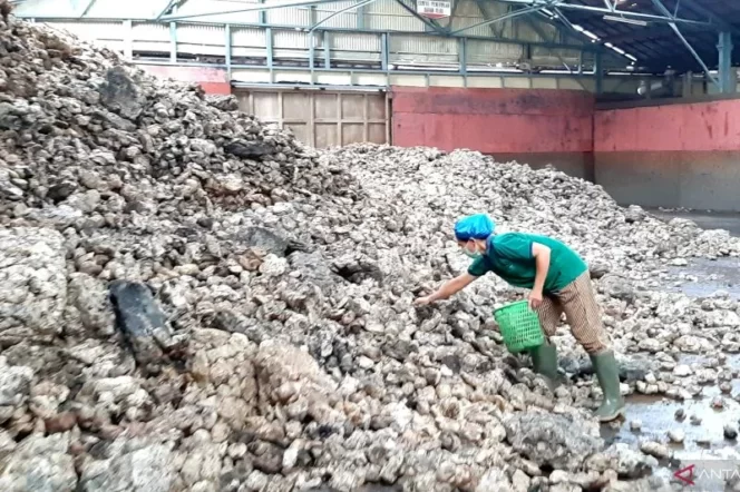 
					Aktivitas buruh di pabrik karet (ANTARA/Dedi)