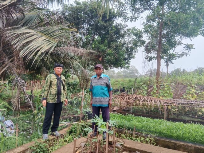 
					Pemerintah Desa Tideng Pale Timur memanfaatkan lahan kosong untuk tanaman sayuran 