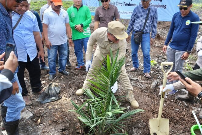
					Bupati Tana Tidung, Ibrahim Ali lakukan penanaman perdana Kelapa Sawit di lahan plasma PT Pipit Citra Perdana di Desa Sengkong Tana Tidung, Minggu (19/3).