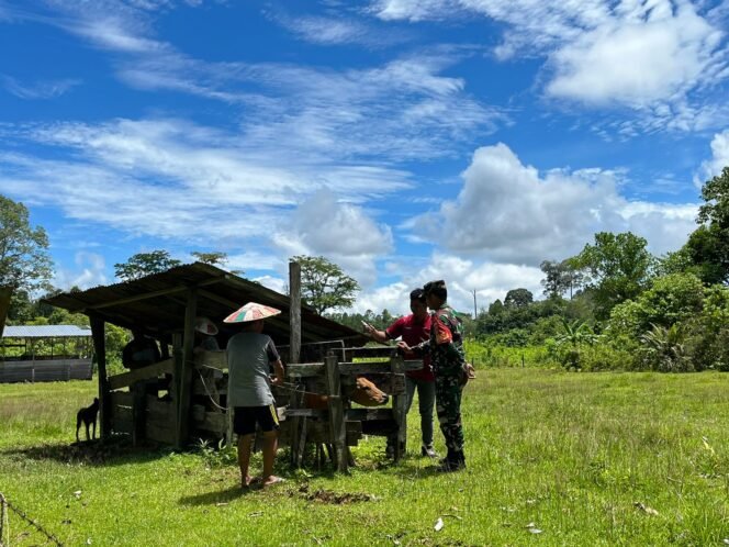 
					Kegiatan Vaksinasi PMK di Kabupaten Tana Tidung 