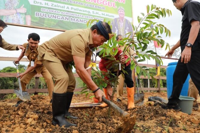 
					Gubernur Kaltara, Zainal Arifin Paliwang melakukan penanaman bibit buah durian di lokasi Agrowisata Desa Apung, Kabupaten Bulungan, Senin (19/6).

