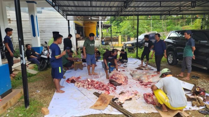 
					Semangat Berbagi di Idul Adha, DPW PAN Kaltara Sembelih 12 Ekor Sapi