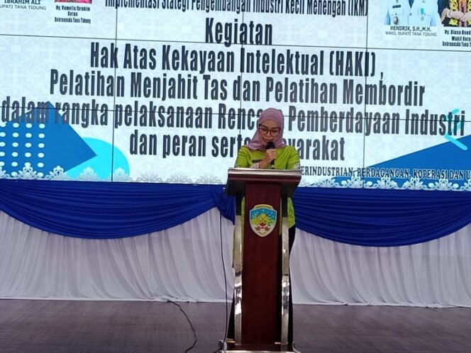 
					Ketua Dekranasda Kabupaten Tana Tidung Vamelia Ibrahim, menghadiri acara pembukaan kegiatan sosialisasi dan fasilitasi hak atas kekayaan intelektual (HAKI) pelatihan membordir dan pelatihan menjahit tas, di Pendopo Djaparuddin, Kamis (21/9/2023).

