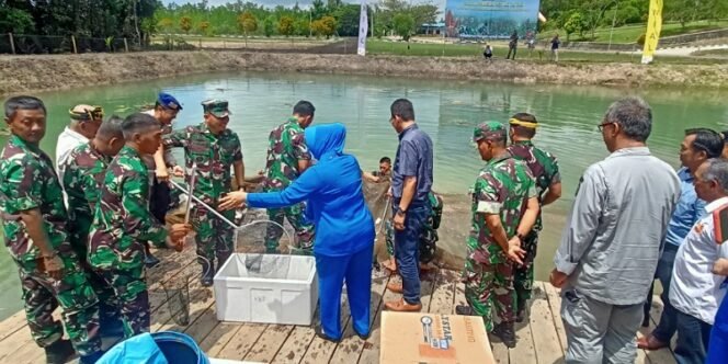 
					Ketahanan Pangan: Lantamal XIII Tarakan Panen Ikan Budidaya Kolam Ikan di Area Mako Lantamal XIII Mamburungan. Foto: fokusborneo.com