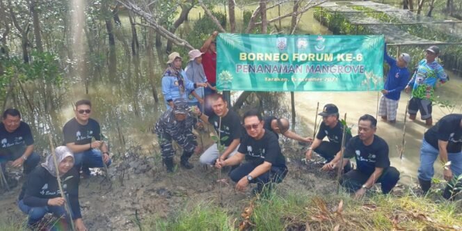 
					Simbolis, GAPKI Tanam Bibit Pohon Mangrove di Kawasan Hutan Mangrove Belakang Islamic Center Kota Tarakan, Provinsi Kaltara. Foto: fokusborneo.com