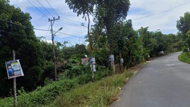 
					Apk salah satu caleg yang di paku di pohon di sepanjang Jalan Gunung Amal. Foto : Fokusborneo.com 