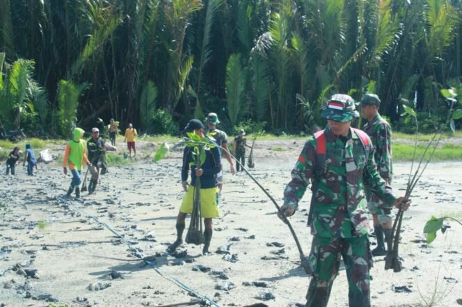 
					Kodim 0914 / TNT melaksanakan penanaman pohon Mangrove bersama masyarakat di desa Bebatu kecamatan Sesayap Hilir, Rabu (21/2/24).

