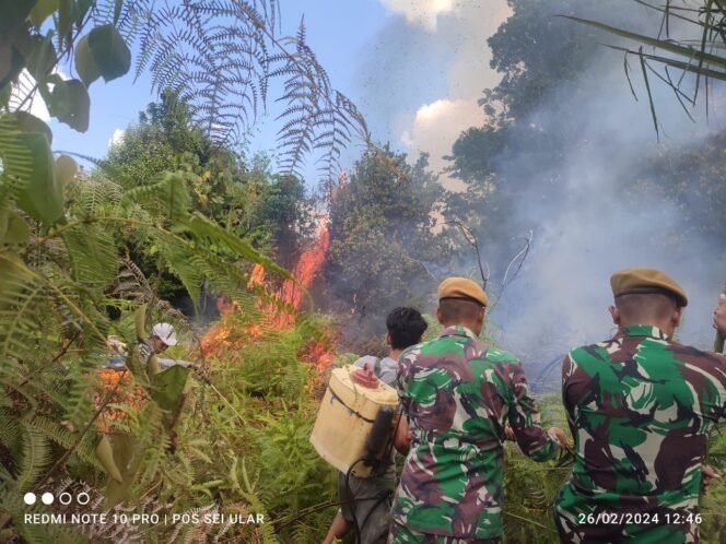 
					Lahan Sawit Terbakar, Satgas Pamtas Yonarhanud 8/MBC Turun Tangan, Senin (26/2/24)

