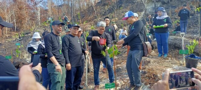 
					Ratusan bibit pohon dan buah-buahan di tanam di lokasi eks kebakaran, di Hutan Kota Sungai Batu Mapan, Jalan Gunung Amal, Kelurahan Pantai Amal, Kota Tarakan, Kamis (7/3/2024).

