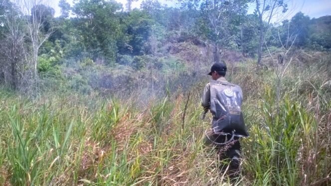 
					PENGENDALIAN : Upaya pengendalian karhutla oleh tim Brigdal Karhutla KPH Tarakan di wilayah Binalatung, Pantai Amal, baru-baru ini.