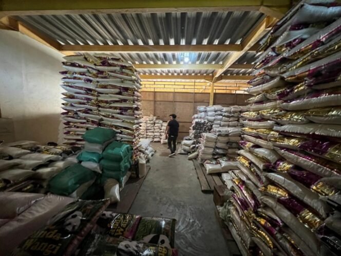 
					Stok beras di Gudang CV. Anugrah Buono Makmur. Foto : Ist