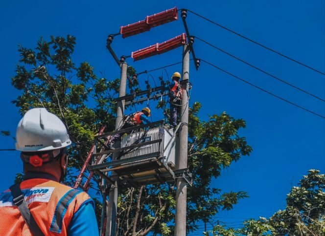 
					Petugas secara rutin PLN melakukan pemeliharaan jaringan sekaligus melakukan perabasan pohon yang berpotensi mengenai jaringan listrik.