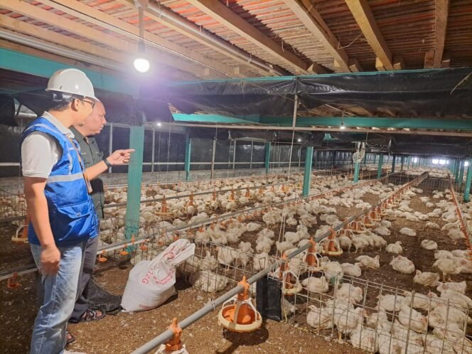 
					Kehadiran energi listrik yang  andal dan terjangkau berdampak positif bagi daya beli masyarakat dan pertumbuhan ekonomi, salah satunya terhadap usaha pembibitan ayam di Muara Enim, Sumatera Selatan.