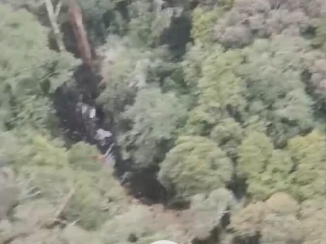
					Lokasi Jatuhnya Pesawat Smart Aviation Ditemukan, Diduga Korban Masih Hidup