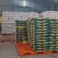 Stok beras di gudang Perum Bulog Kota Tarakan. Foto  : Ist
