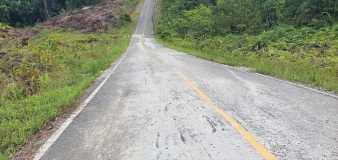
					Jalan aspal yang rusak  di perbatasan RI - Malaysia Patok 708 Sekalayan Desa Sekadayun Taka Nunukan 