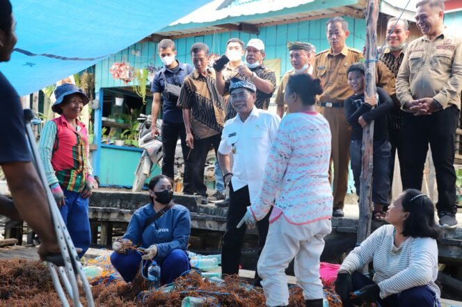 
					POTENSI INVESTASI : Gubernur Kaltara, DR (HC) H Zainal A Paliwang, M.Hum meninjau lokasi budidaya rumput laut di Kabupaten Nunukan. 

