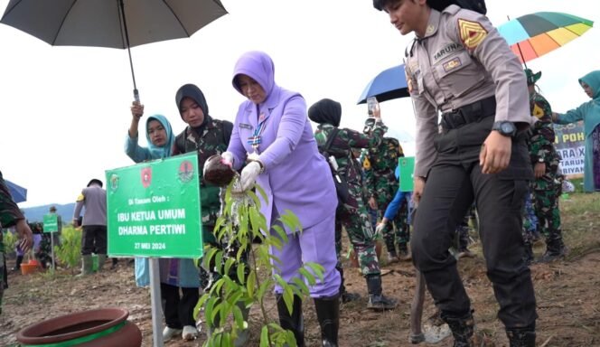 
					Ibu Kehormatan Taruna Akademi TNI, Ibu Evi Agus Subiyanto melaksanakan penanaman pohon di Ibu Kota Nusantara (IKN), Senin (27/5/24).

