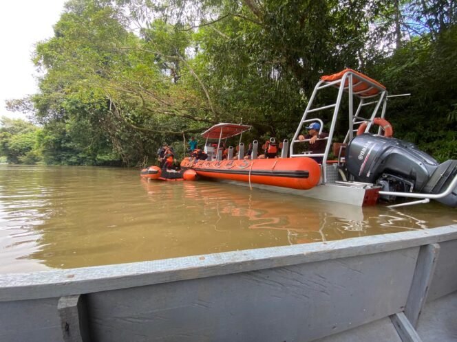 
					Proses pencarian korban DB yang terjebak di pusaran air Sungai Beliling sejak Jumat (31/5/2024).
