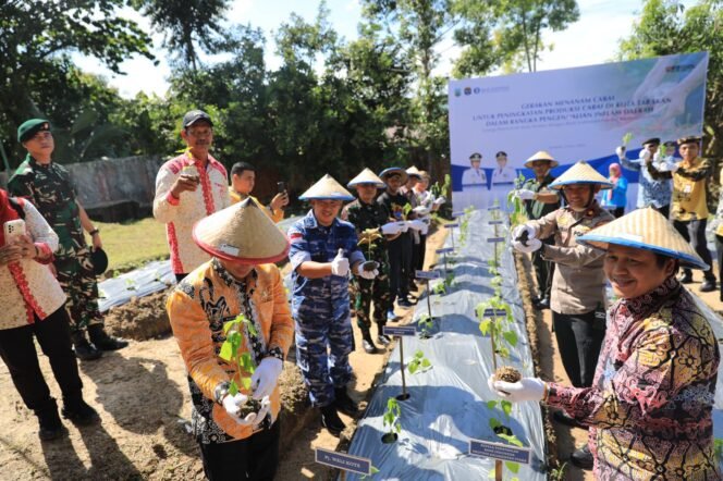
					Pemerintah Kota Tarakan bersinergi dengan Bank Indonesia dalam upaya pengendalian inflasi daerah melalui gerakan menanam cabai untuk meningkatkan produksi cabai di Tarakan. Kegiatan ini berlangsung di halaman belakang Kantor Wali Kota Tarakan, Kamis (13/6/24).

