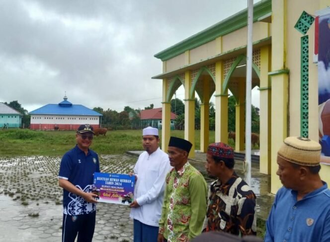 
					Bupati Malinau, Wempi W Mawa menyerahkan hewan kurban dari Pemkab Malinau kepada penerima di Halaman Masjid Islamiq Center Malinau Seberang, Jumat (14/06/2024).