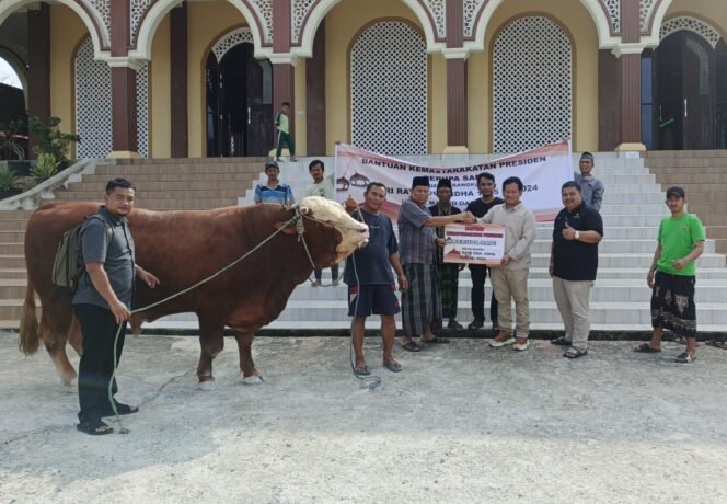 
					Otorita Ibu Kota Nusantara (IKN) menggelar Sholat Iduladha dan penyembelihan hewan kurban Hari Raya Iduladha 1445 Hijriah di Masjid Besar Darussalam, Desa Tengin Baru, Kecamatan Sepaku, Kabupaten Penajam Paser Utara pada hari Senin (17/06/2024).