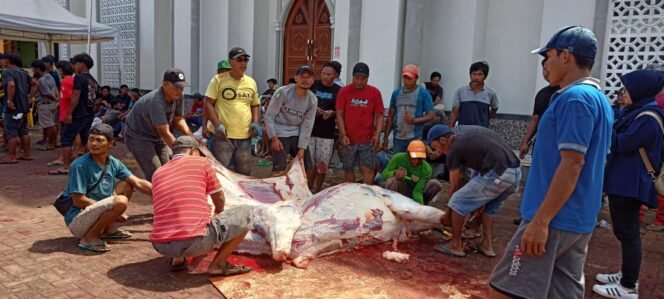 
					Pimpinan Anak Cabang Lembaga Dakwah Islam Indonesia (PAC LDII) Karang Anyar potong puluhan hewan kurban di hari Raya Idul Adha 1445 Hijriah, Senin (17/6/2024).