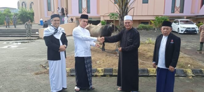 
					Berbagai Kebahagiaan Idul Adha, PJ Walikota Tarakan Serahkan 10 Ekor Sapi Kurban 

