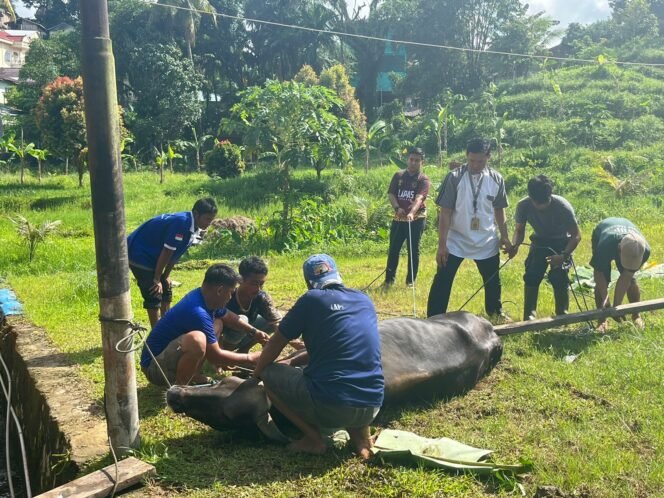 
					Ribuan Warga Binaan Pemasyarakatan (WBP) bersama seluruh petugas Lembaga Pemasyarakatan (Lapas) Kelas IIA Tarakan melaksanakan Sholat Ied berjamaah peringatan Hari Raya Idul Adha 1445 Hijriah bertempat di Lapangan masjid At-Taubah, Senin (17/06).

