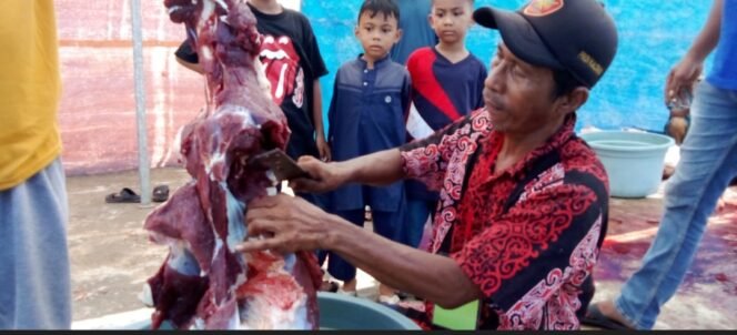 
					Masjid Al Jabariah Sembelih 8 Ekor Hewan Kurban, Tahun Depan Ditargetkan 10 Sapi