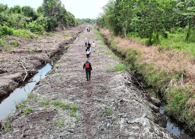 
					PATROLI : Tim patroli KPH Tarakan saat melakukan inspeksi ke wilayah Indulung yang diduga ada bukaan lahan ilegal didalam batas hutan lindung, belum lama ini. Foto: KPH Tarakan 