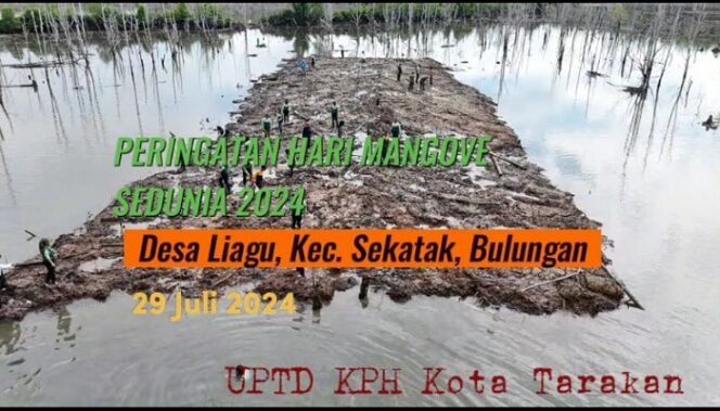 
					KPH Tarakan Gelar Peringatan Hari Mangrove Sedunia di Desa Liagu
