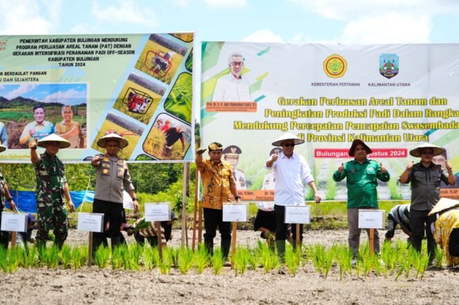
					TANAM PADI : Gubernur Kaltara, DR (HC) H Zainal A Paliwang, M.Hum menggalakkan aksi tanam padi di Dusun Sekang, Desa Antutan, Kecamatan Tanjung Palas, Kamis (1/8).

