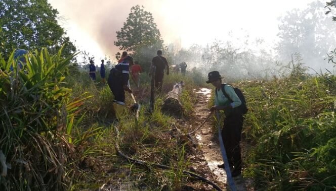 
					KARHUTLA : Brigdal Karhutla KPH Tarakan dibantu Korlakar dan BPBD Tarakan saat melakukan pengendalian api pada kejadian karhutla didalam kawasan lindung yang berada di Sungai Kuli, Kelurahan Kampung Enam, Jumâ€™at (6/9) siang. Foto: KPH Tarakan 