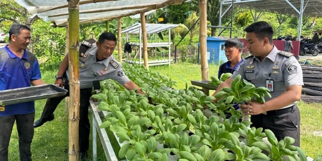 
					Panen Sayuran Hidroponik, Program Pemberdayaan Warga Binaan Dukung Ketahanan PanganÂ 