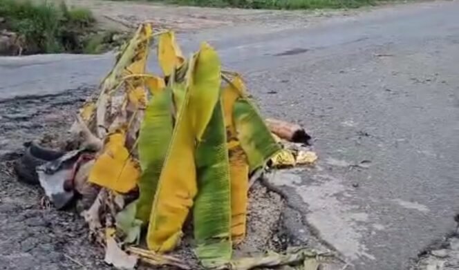 
					Jalan Gunung Selatan Ditanam Pohon Pisang, Komisi III DPRD Kaltara Minta PU Perbaiki