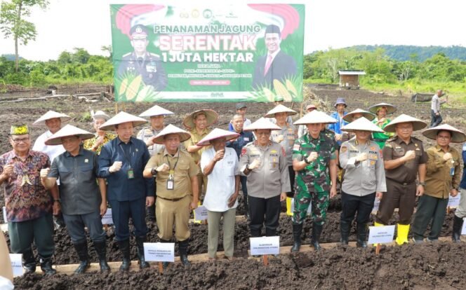 
					Pemerintah Provinsi (Pemprov) Kalimantan Utara (Kaltara) bersama Kepolisian Daerah (Polda) Kaltara resmi melaksanakan Program Penamaman Jagung Serentak 1 Juta Hektar se-Indonesia, di pusatkan di Desa Gunung Putih, Tanjung Palas, Kabupaten Bulungan, Selasa (21/1/25).