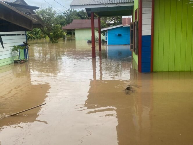
					Intensitas hujan yang cukup lama sejak beberapa hari terakhir, kembali mengakibatkan sejumlah wilayah di Kabupaten Malinau terendam banjir dengan ketinggian beragam, Minggu (12/1/2025).

