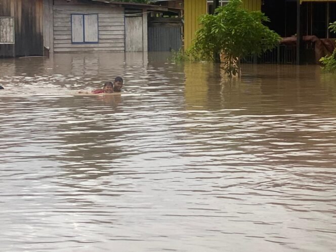 
					Banjir masih melanda sejumlah wilayah di Malinau, dampak dari meluapnya Sungai Mentarang dan Sungai Tubu sejak beberapa hari terakhir.