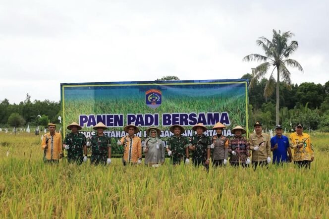 
					Komandan Kodim 0907 Tarakan, Letkol Kav Jhon B.C.Simarmata,M.Han bersama Pj. Wali Kota Tarakan, Dr. Bustan, S.E., M.Si., memimpin acara Panen Padi Bersama Kelompok Tani (Poktan) Mandiri Varietas Infari 32 di Jalan Peningki Laid, Kamis (16/1/2025).