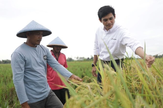
					Berdayakan Petani Milenial, Pertamina EP Raih ISDA Award
