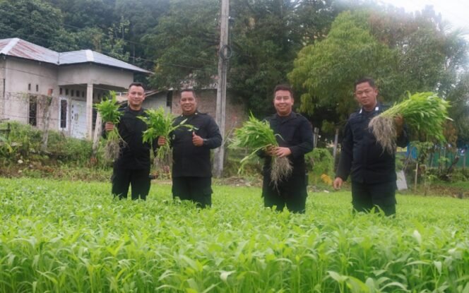 
					Lapas Tarakan Manfaatkan Lahan Sarana Asimilasi dan Edukasi untuk Tanaman Sayur. Foto: Lapas Tarakan 