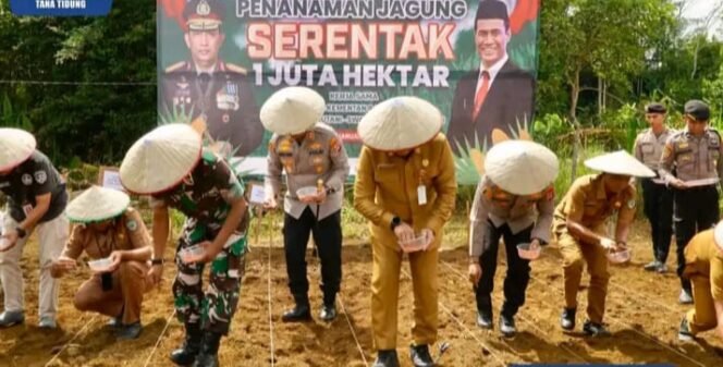 
					Sukseskan program Presiden Prabowo untuk swasembada pangan 2025, Pemkab Tana Tidung beserta instansi terkait ikut serta menanam jagung serentak, Selasa (21/1/2025).